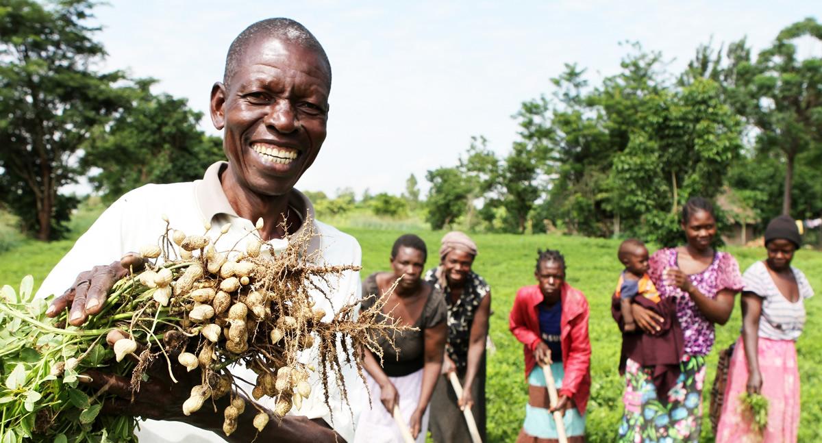 EU, Denmark offer UGX66 bn to Ugandan farmers