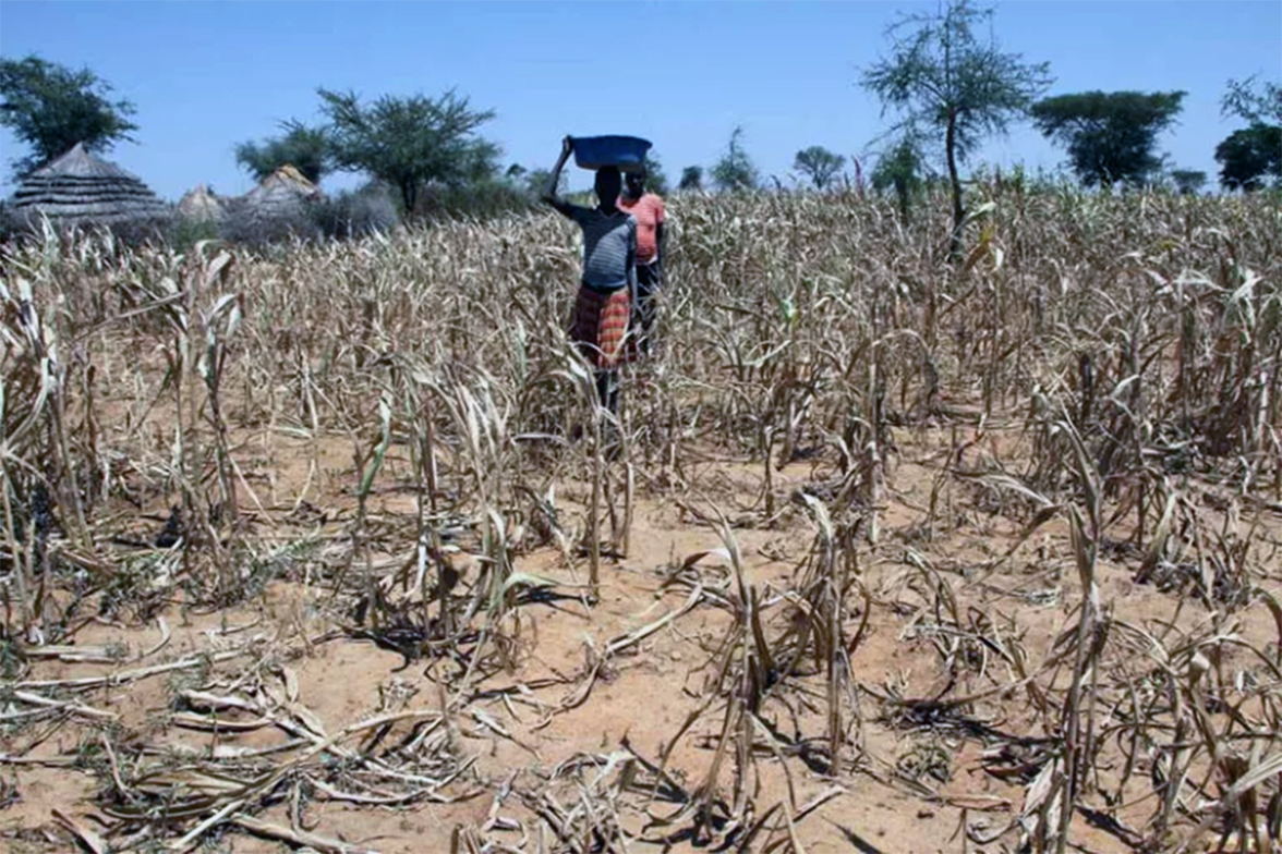 World Bank warns Uganda over climate change impacts