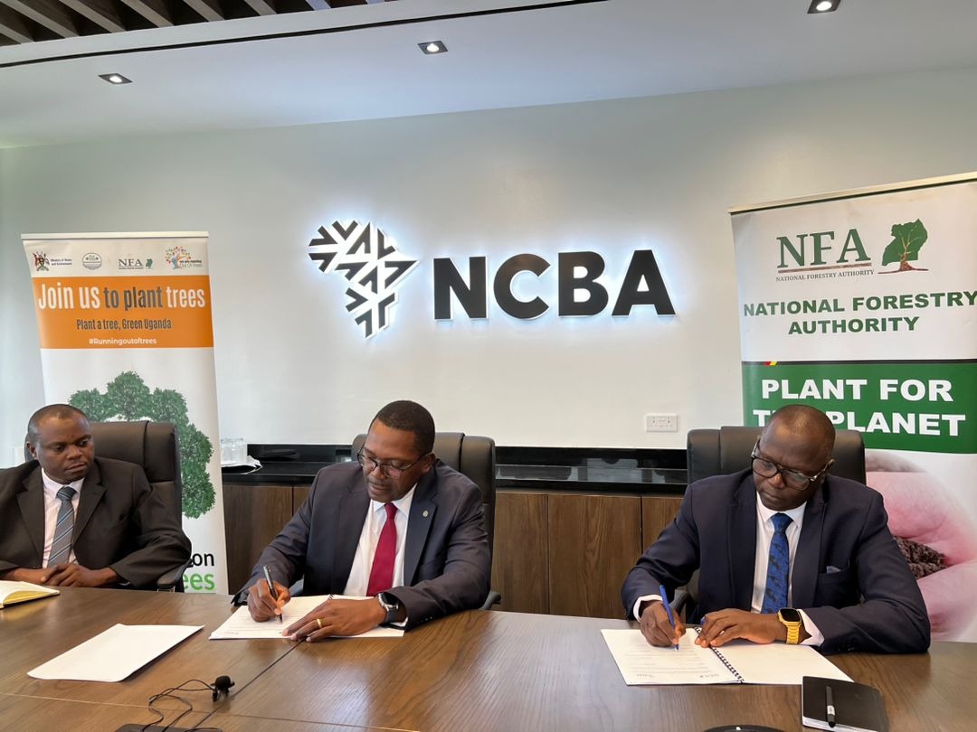 NCBA Bank partners with NFA to plant 20,000 trees