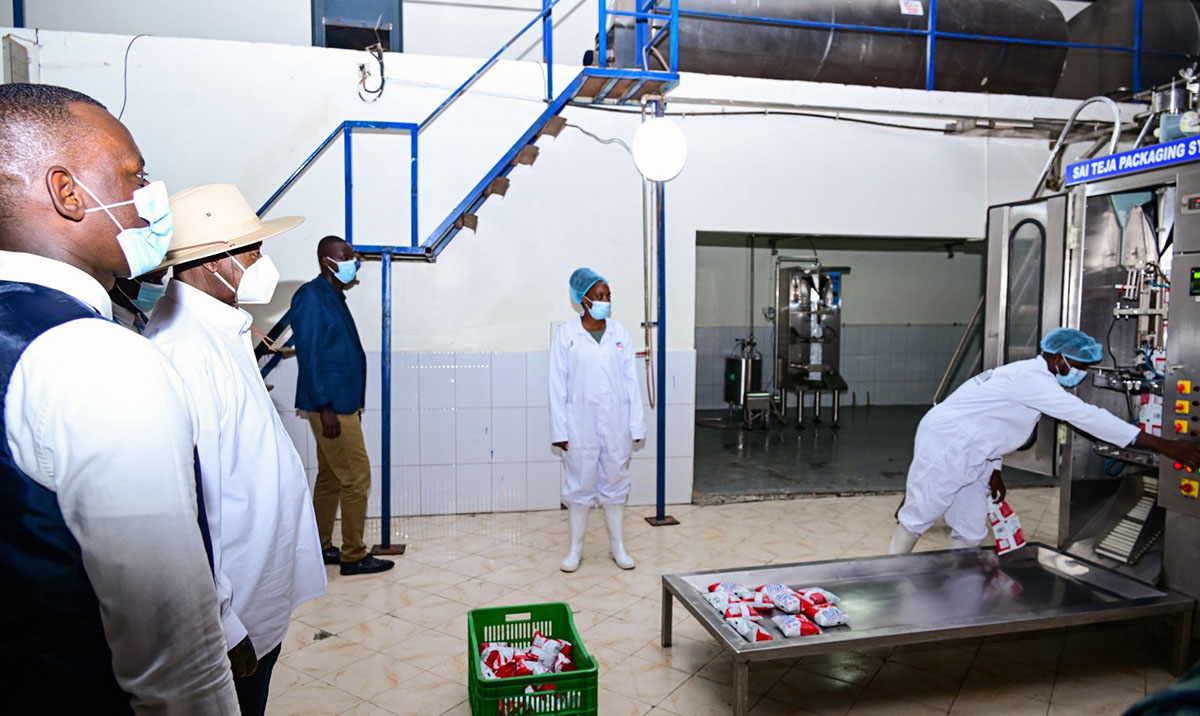 Museveni commissions Royal Milk factory 