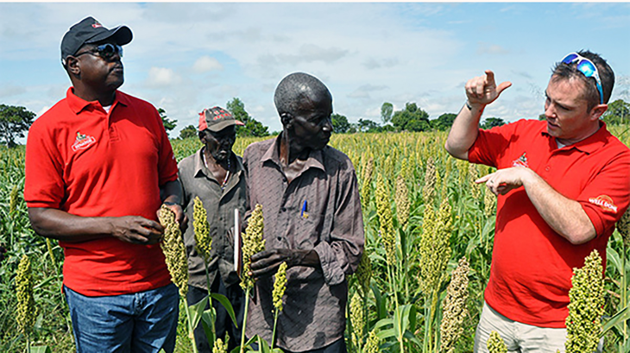 Uganda Breweries invests UGX32 Bn on farmers