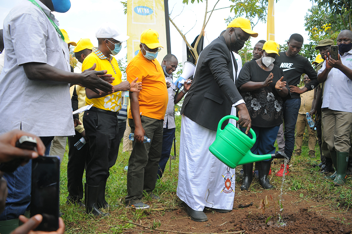 MTN restores five forests, set to introduce electric vehicles