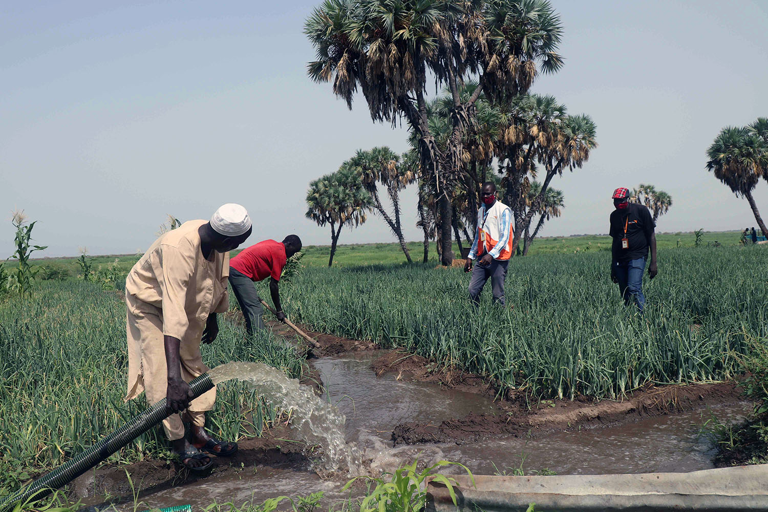 Uganda, South Sudan moot joint dam projects