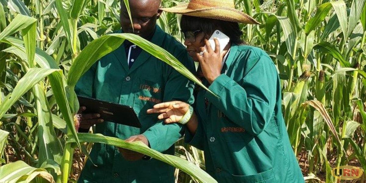 East African countries agree on common rules for biopesticides