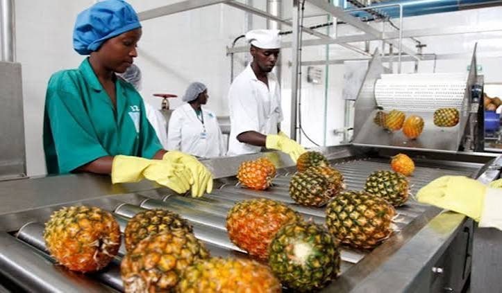 Uganda turns to Danish technology to boost agricultural exports