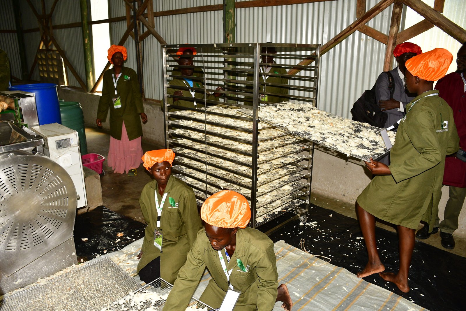 GROW: Low funds uptake irks Auditor General