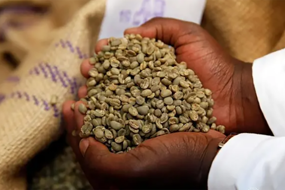 February Coffee Windfall Amidst Shifting Global Trends